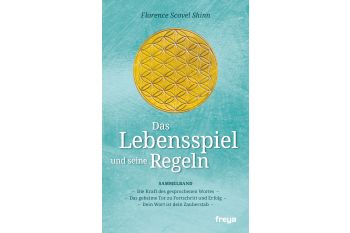 Das Lebensspiel und seine Regeln